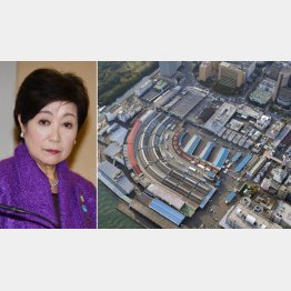 広さは幕張メッセが収まる程度（左）／（Ｃ）共同通信社