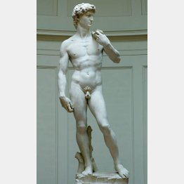 頭はモジャモジャだけど…（写真はイメージ）