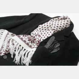 （Ｃ）日刊ゲンダイ