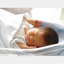 写真はイメージ