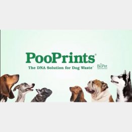 （バイオペット・ラボラトリーズのユーチューブから）