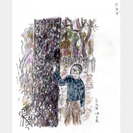 （画・牧野伊三夫）