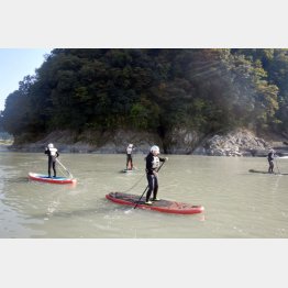 富士川をスイスイ（Ｃ）日刊ゲンダイ