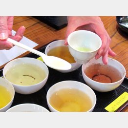 「くぼた園」では試飲してオリジナルのブレンドのお茶を作れる（Ｃ）日刊ゲンダイ