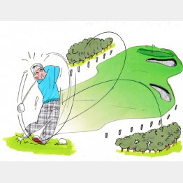 （イラスト・たかぎしひろや）