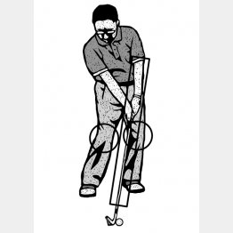 （イラスト・ドラゴン２）