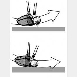 イラスト・ドラゴン２