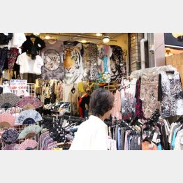 ヒョウの顔の服なんて…（Ｃ）日刊ゲンダイ