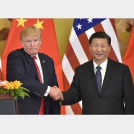 ２０１７年 共同記者発表で、硬い表情のまま中国の習近平国家主席（右）と握手するトランプ米大統領（Ｃ）共同通信社