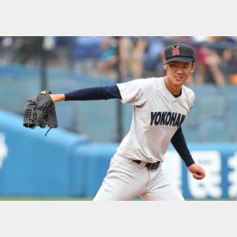 ドラ１候補の横浜・及川（Ｃ）日刊ゲンダイ