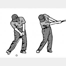 イラスト・ドラゴン2