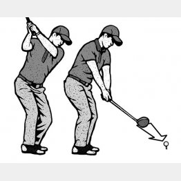 イラスト・ドラゴン2