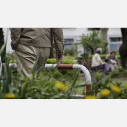 キチンとした相手さえいれば心配無用（Ｃ）日刊ゲンダイ