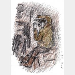 画・牧野伊三夫