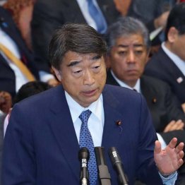 根本厚労相はお得意のゴマカシ答弁に終始（Ｃ）日刊ゲンダイ