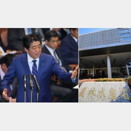 「攻めの農政」もアベノミクスの柱のひとつ（Ｃ）日刊ゲンダイ