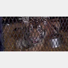 （ＡＢＣ１３のマーラ・カーター記者のフェイスブックから）