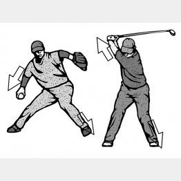 イラスト・ドラゴン２