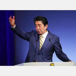 党大会の発言が物議（Ｃ）日刊ゲンダイ