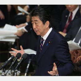 相次ぐ仰天答弁が波紋（Ｃ）日刊ゲンダイ