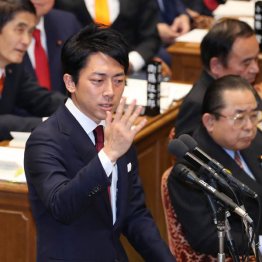 小泉進次郎（Ｃ）日刊ゲンダイ