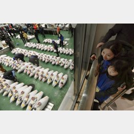 専用デッキからマグロの競りを見学する親子（Ｃ）共同通信社