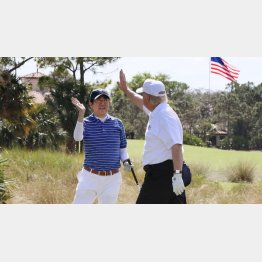 強い者にこびるだけ（内閣広報室提供・共同）