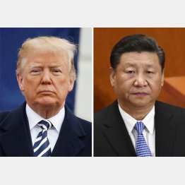 トランプ大統領と習近平国家主席（Ｃ）ロイター＝共同