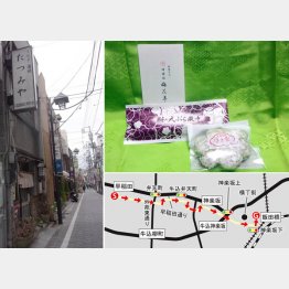 （Ｃ）日刊ゲンダイ