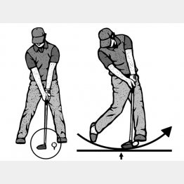 （イラスト・ドラゴン２）