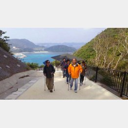 ノルディックウォーキング（Ｃ）日刊ゲンダイ