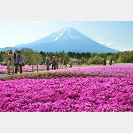 “元気でいられる”うちに（Ｃ）共同通信社