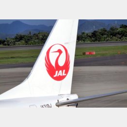 （Ｃ）日刊ゲンダイ