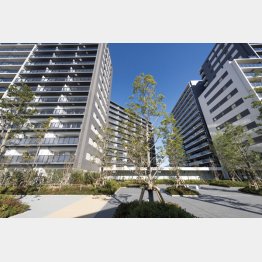 鈴木町駅から徒歩3分の「シティテラス川崎鈴木町グランドシーズンズ」（提供写真）