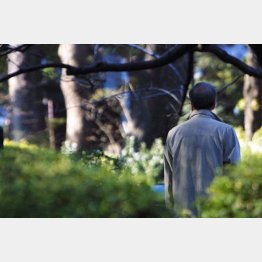 庶民の厳冬はこれからが本番（Ｃ）日刊ゲンダイ