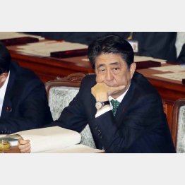 世論の声は厳しい（Ｃ）日刊ゲンダイ