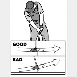 （イラスト・渡辺隆司）