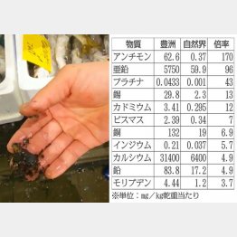 指先に黒い粉塵が付着（市場関係者提供）