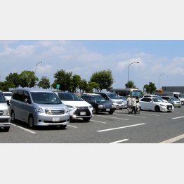 安全運転で！（Ｃ）日刊ゲンダイ