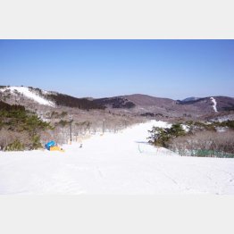 兵庫県神河町に誕生した「峰山高原リゾート」（提供写真）