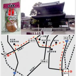 （Ｃ）日刊ゲンダイ