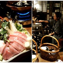 鮮度抜群！（Ｃ）日刊ゲンダイ