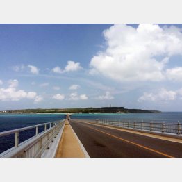 離島ステイが人気（宮古島・伊良部大橋）／（Ｃ）日刊ゲンダイ