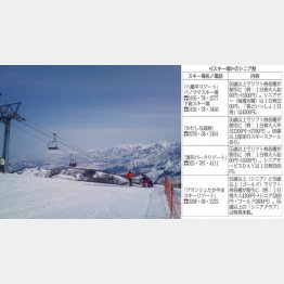 （Ｃ）日刊ゲンダイ