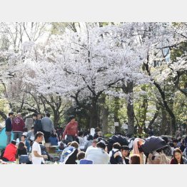 春からの新生活に備えたい（Ｃ）日刊ゲンダイ