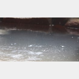 はじける炭酸泉（提供写真）