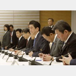 鉛筆ナメナメ（Ｃ）共同通信社