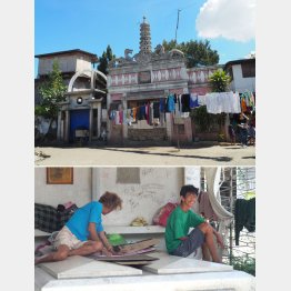 墓石の上でくつろぐ（下）（提供写真）