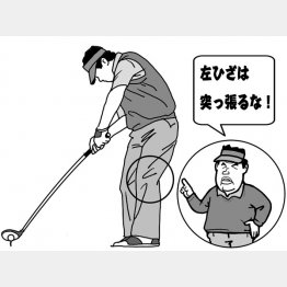 （イラスト・渡辺隆司）