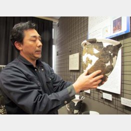 珍しい品々がいっぱい（Ｃ）日刊ゲンダイ